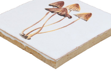 carrelage décoré champignons des prés